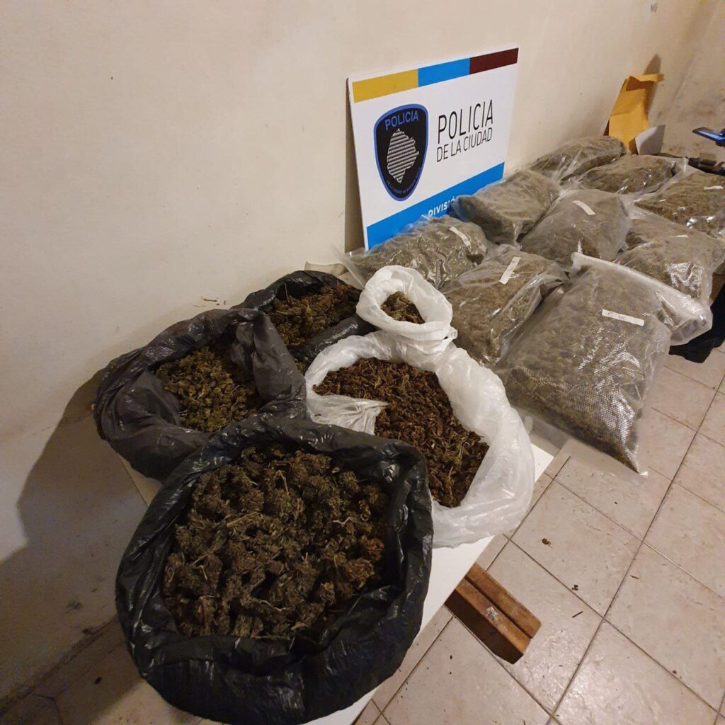 Constitución: cayeron «Viuda Negra» y su padre dealer