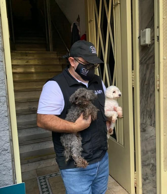 Caballito: rescatan 24 perros de un criadero ilegal y detienen a los responsables