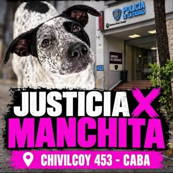 FLORESTA: INDIGNACIÓN VECINAL POR LA MUERTE A TIROS DE UNA PERRITA EN UNA COMISARÍA