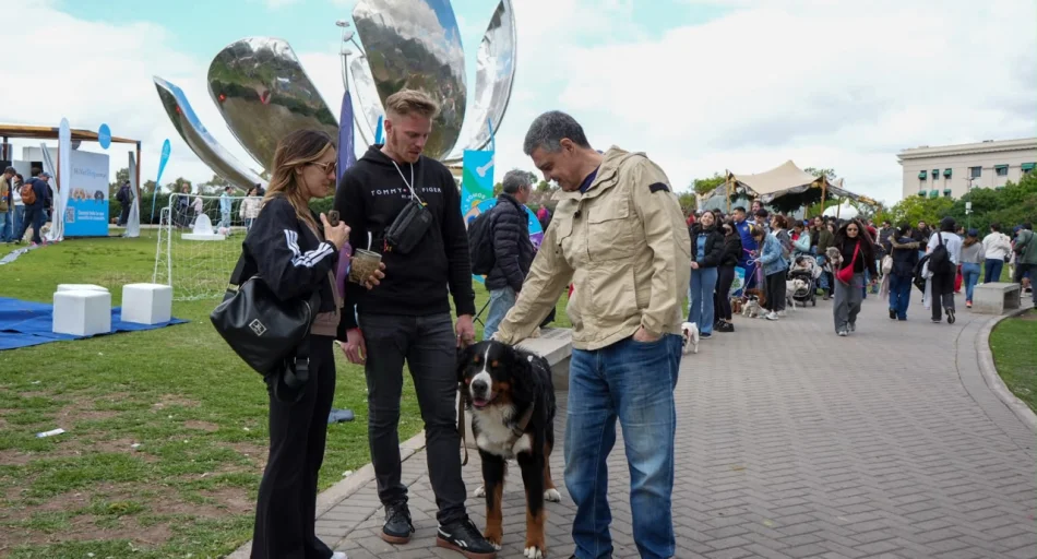 Novedades en la Ciudad: proyectan un DNI digital para perros y gatos